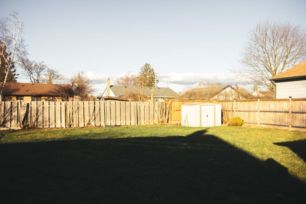 Backyard fence marking a property line